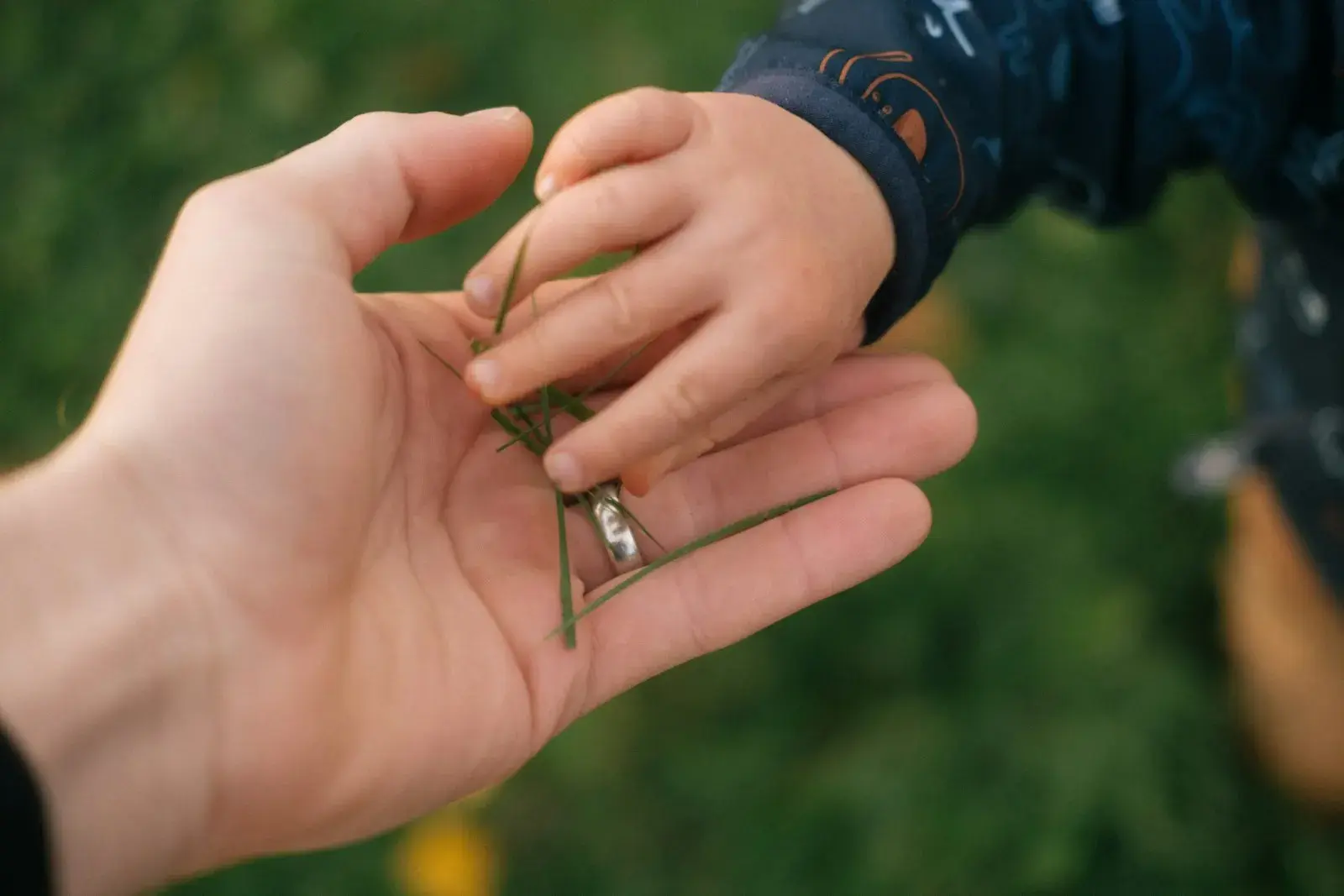Eine Kinderhand hält eine Erwachsenenhand auf einem Weg im Freien